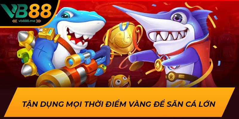 Tận dụng mọi thời điểm vàng để săn cá lớn 