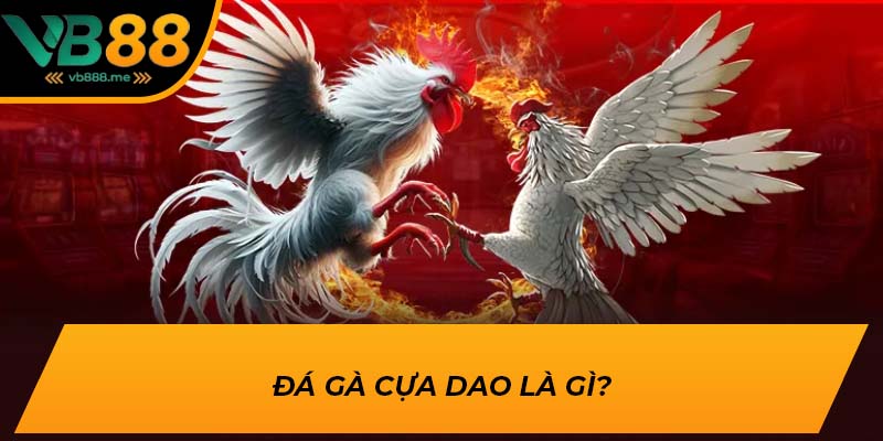 Đá gà cựa dao là gì?
