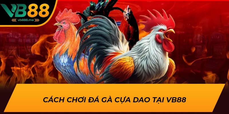 Cách chơi đá gà cựa dao tại VB88