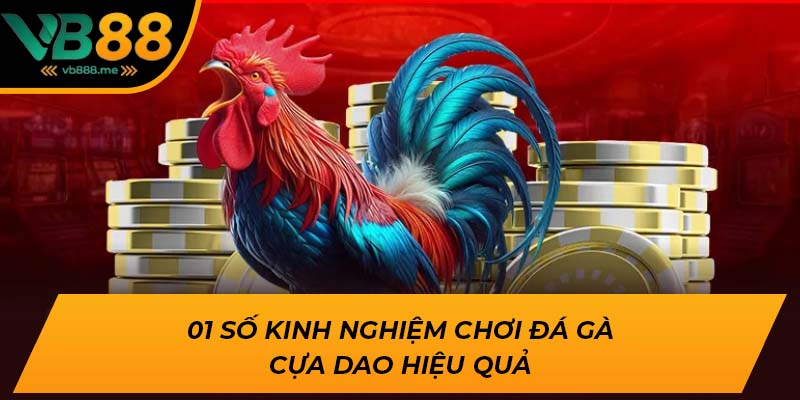 01 số kinh nghiệm chơi đá gà cựa dao hiệu quả