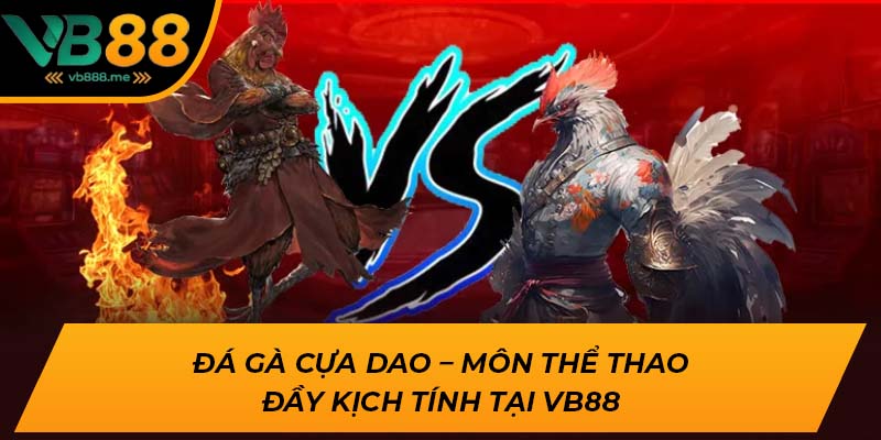 đá gà cựa dao