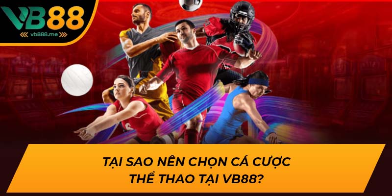 Tại sao nên chọn cá cược thể thao tại VB88?