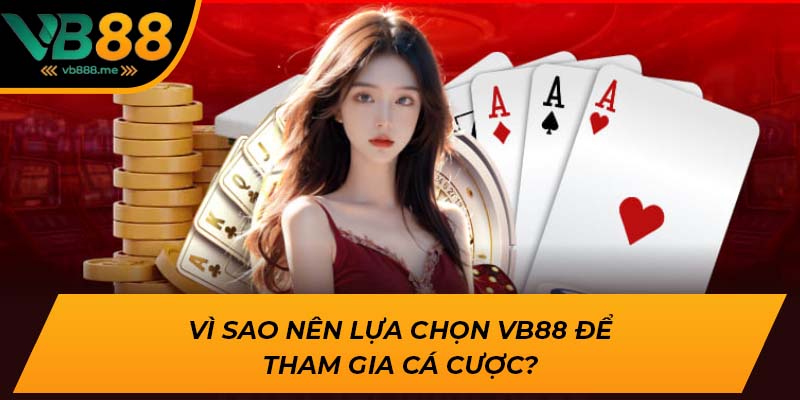 Vì sao nên lựa chọn VB88 để tham gia cá cược?