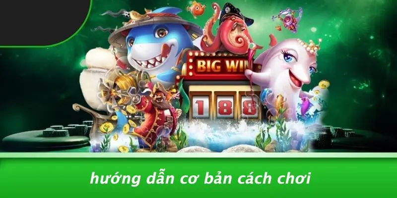 Hướng Dẫn Cơ Bản Cách Chơi